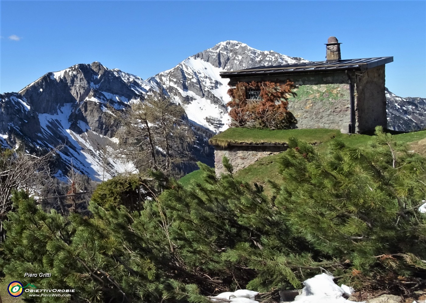 23 Al Roccolo del Tino (1870 m) con da sfondo il Pizzo di Roncobello.JPG